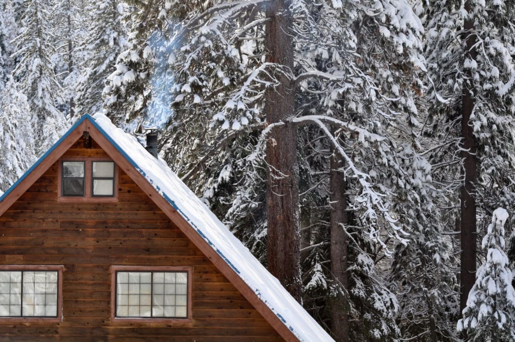 snow covering the roof and trees surrounding a custom texas prefab cabin