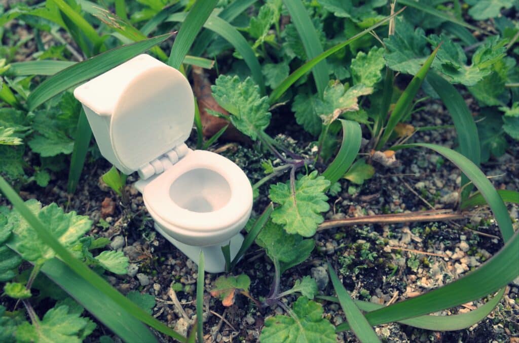 toilet surrounded by greenery