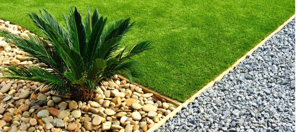 a sago palm planted in between sections of xerisacping and grass in a yard