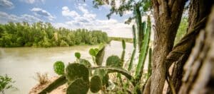 Scenic view of the Rio Grande riverbank with prickly pear cactus in the foreground